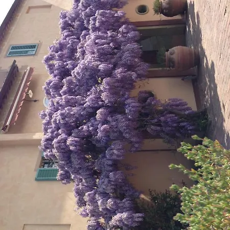 Palazzo Di Valli