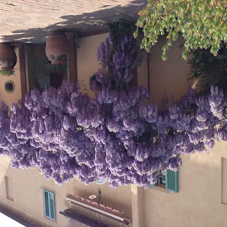 Palazzo Di Valli מלון סיינה