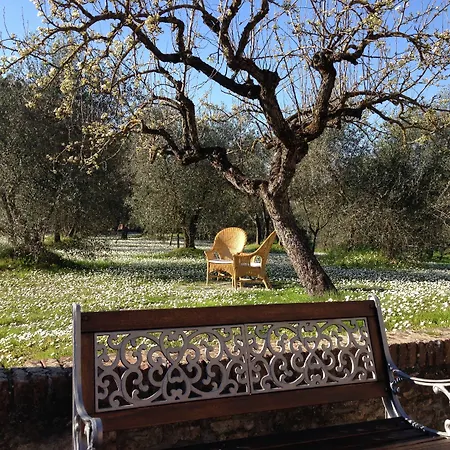 Palazzo Di Valli מלון 3*